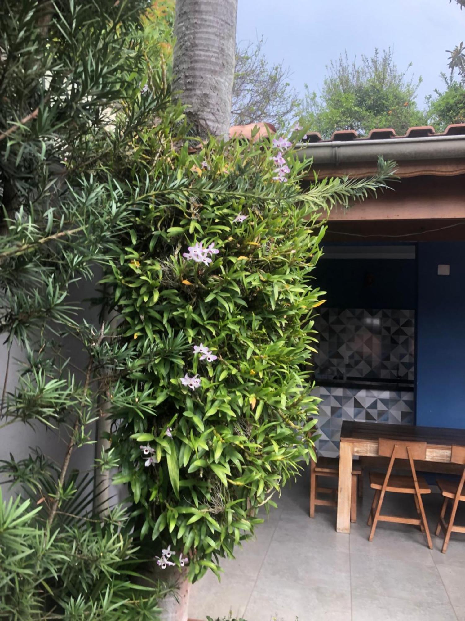 Hostel Martina, Suite 100M Spexpo サンパウロ エクステリア 写真